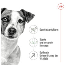Hund mit Hinweisen zu Gewichtserhaltung, starken Knochen und Vitalität