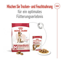 Royal Canin Trocken- und Feuchtnahrung für mittelgroße, ältere Hunde.