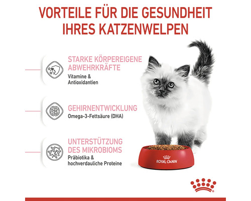 Informationen zu gesundheitlichen Vorteilen von Katzenfutter für Kätzchen