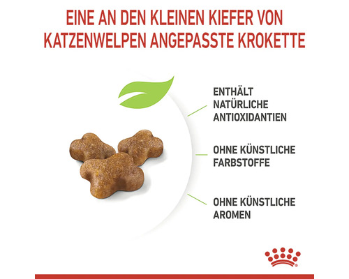 Kroketten für Katzenwelpen, die an den kleinen Kiefer angepasst sind. Das Produkt enthält natürliche Antioxidantien und ist ohne künstliche Farbstoffe sowie Aromen.