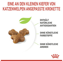 Kroketten speziell für kleine Katzenwelpen, mit natürlichen Antioxidantien, ohne künstliche Farbstoffe und Aromen.