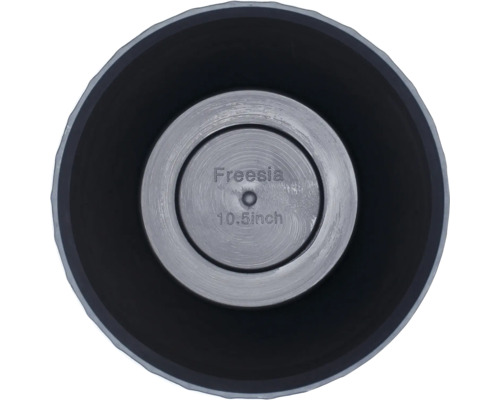 Freesia Blumentopf, 10,5 Zoll