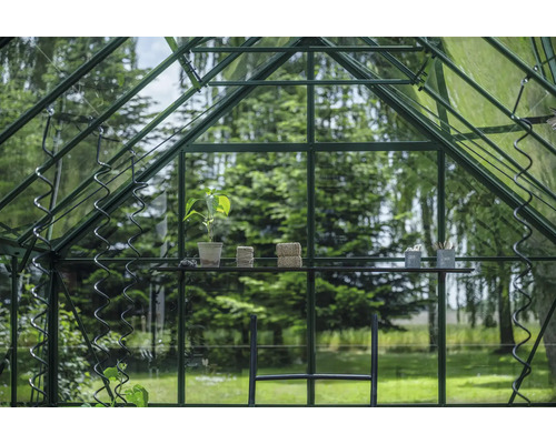 Gewächshaus Innenansicht mit Regal, Pflanze, Gartengeräten und Rankhilfe