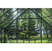 Innenansicht eines Gewächshauses mit Pflanze, Gartenzubehör und Regal