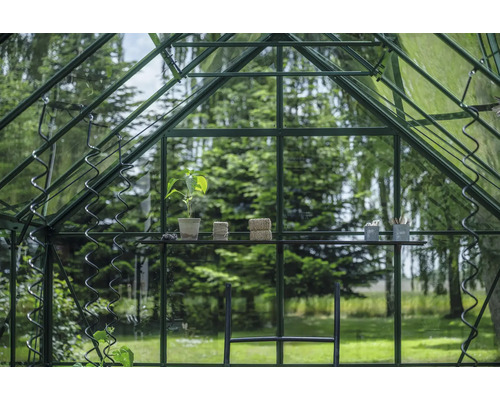 Innenansicht eines Gewächshauses mit Pflanze, Gartenzubehör und Regal