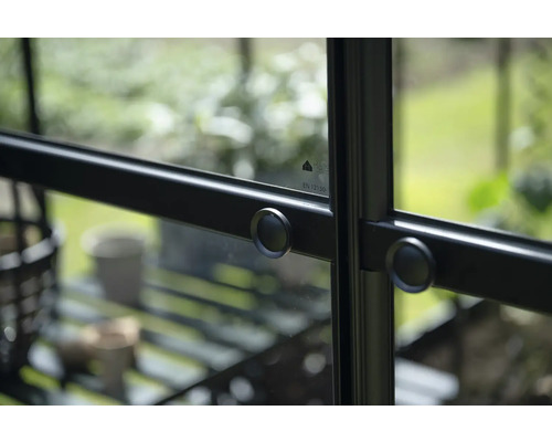 Detailansicht eines Gewächshausfensters mit Griff