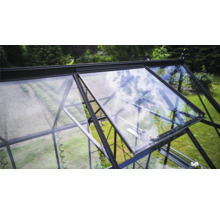 Gewächshaus mit geöffneten Fenstern im Garten