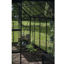 Gewächshaus mit Tomatenpflanze und Gartenzubehör