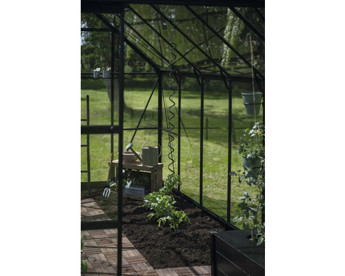 Gewächshaus mit Tomatenpflanze und Gartenzubehör