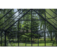 Gewächshaus mit Regal, Pflanze, Bindfaden und Gartenwerkzeug