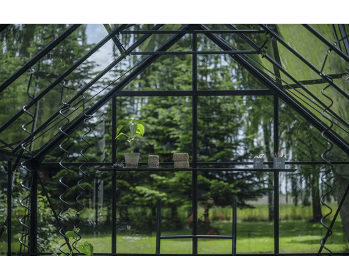 Gewächshaus mit Regal, Pflanze, Bindfaden und Gartenwerkzeug