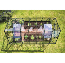 Draufsicht Gewächshaus mit Pflanzen und Fliesenboden im Garten.