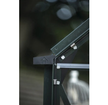 Detailansicht eines Gewächshauses mit Rahmen, Glas und Beschlägen