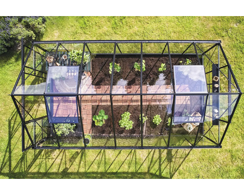 Draufsicht eines Gewächshauses mit Pflanzen und geöffneten Fenstern