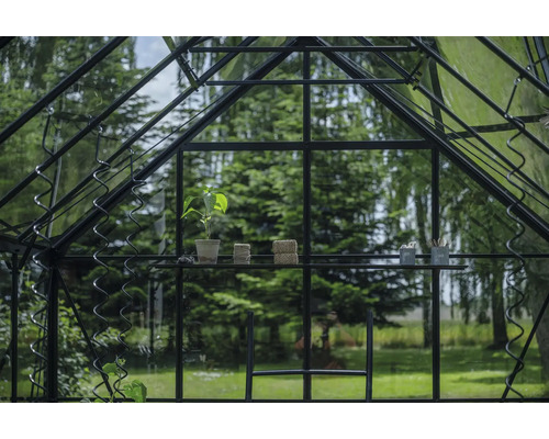 Gewächshaus mit Pflanze, Bindfaden und Gartenzubehör auf einem Regal