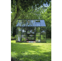 Gewächshaus mit Regalen und Pflanzen im Garten.