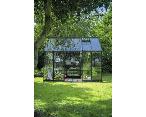 Gewächshaus mit Regalen und Pflanzen im Garten.