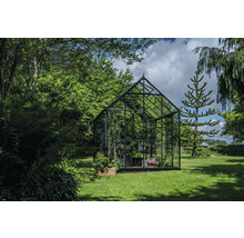 Gewächshaus im Garten mit Pflanzen