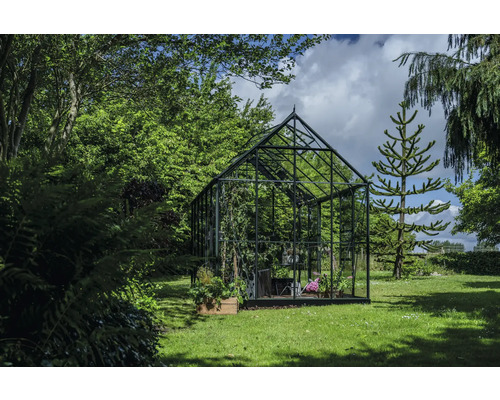 Gewächshaus im Garten mit Pflanzen