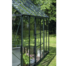 Gewächshaus mit Pflanzen und Gartenzubehör im Garten