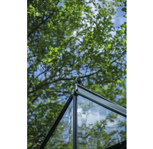 Detailansicht eines Gewächshausdachs mit dekorativer Spitze