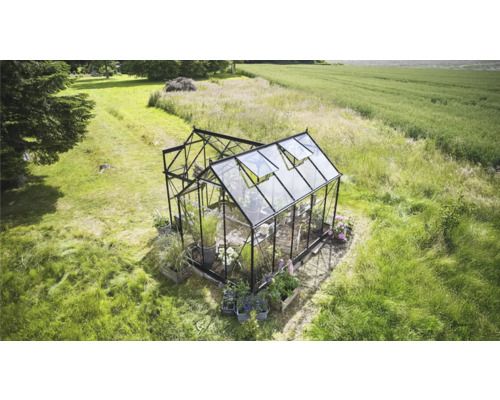 Gewächshaus im Garten mit Pflanzen und geöffneten Fenstern.