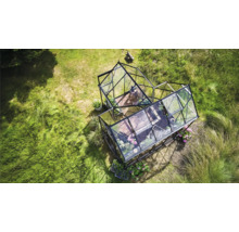 Draufsicht auf ein Gewächshaus im Garten mit Pflanzen