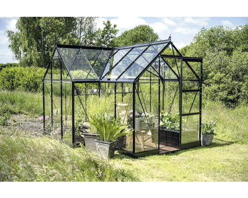 Gewächshaus mit Pflanzen im Garten