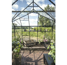 Gewächshaus mit Regalen, Pflanzen und Gartengeräten