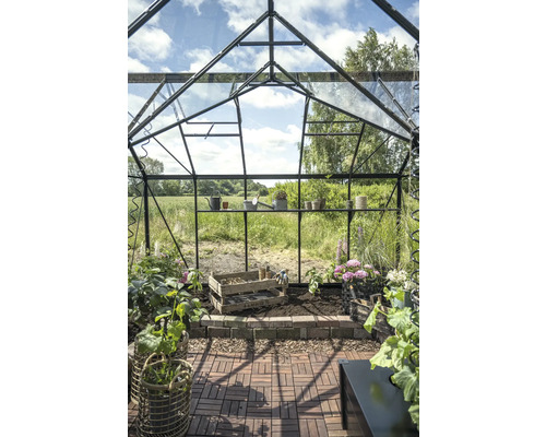 Gewächshaus mit Regalen, Pflanzen und Gartengeräten