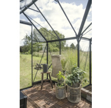 Innenansicht eines Gewächshauses mit Pflanzen, Gießkanne und Holzboden