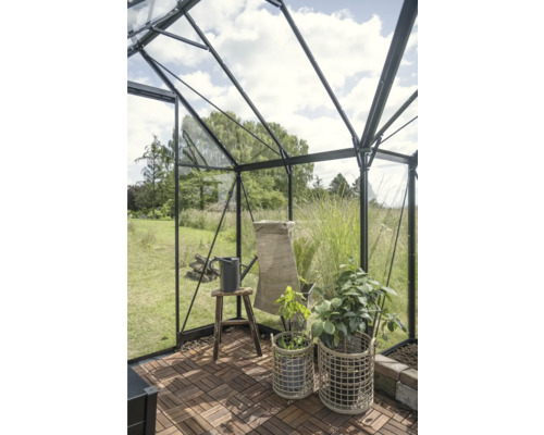 Innenansicht eines Gewächshauses mit Pflanzen, Gießkanne und Holzboden