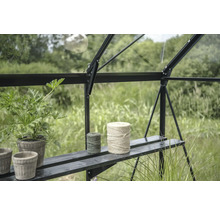 Gewächshausinneneinrichtung mit Pflanzen und Bindfäden