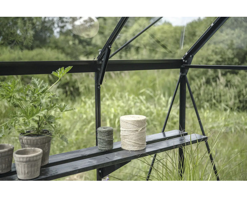 Gewächshausinneneinrichtung mit Pflanzen und Bindfäden