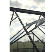 Detailansicht eines Gewächshausrahmens mit Verglasung