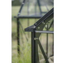 Detailansicht eines Gewächshauses mit Rahmen und Verglasung.