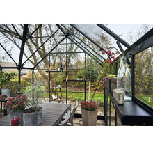 Gewächshaus mit Tisch, Stühlen und Pflanzen für den Garten