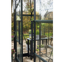 Detailansicht eines Gewächshauses mit Regalen und Pflanzen