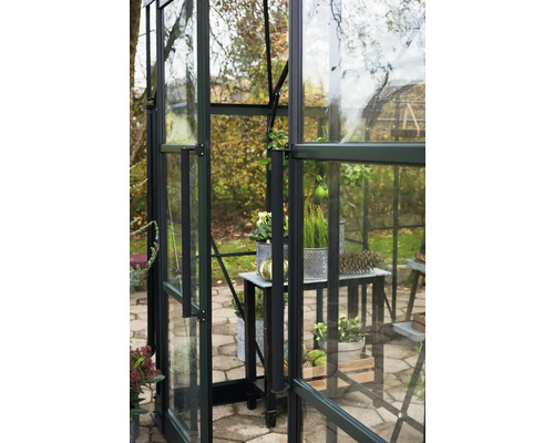 Detailansicht eines Gewächshauses mit Regalen und Pflanzen