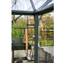 Detailaufnahme eines Gewächshauses mit Pflanze auf einem Regal