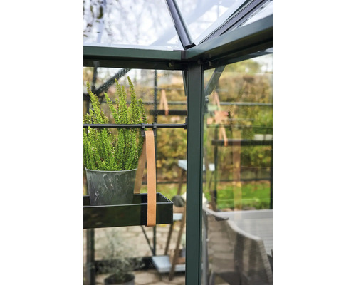 Detailaufnahme eines Gewächshauses mit Pflanze auf einem Regal