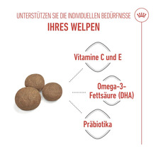 Hundefutter für Welpen mit Vitamin C und E, Omega-3-Fettsäuren und Präbiotika
