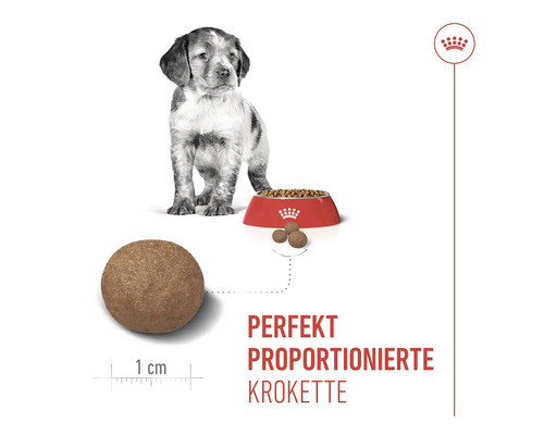 Illustration von Royal Canin Hundefutter für Welpen mit einem jungen Hund