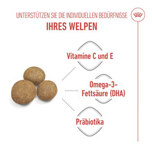 Drei Futterkroketten mit Informationen zu Vitaminen, Omega-3-Fettsäuren und Präbiotika für Welpen