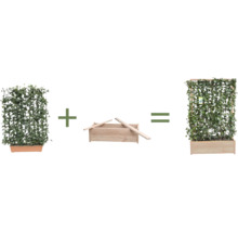 Darstellung eines Bausatzes für einen Pflanzkasten mit Rankgitter. Die Einzelteile werden dargestellt und in Summe ergibt sich der fertige Pflanzkasten.