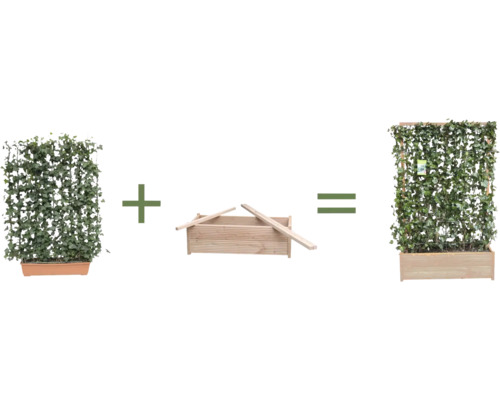 Darstellung eines Bausatzes für einen Pflanzkasten mit Rankgitter. Die Einzelteile werden dargestellt und in Summe ergibt sich der fertige Pflanzkasten.
