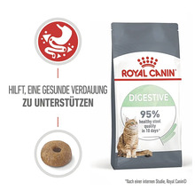 Royal Canin Digestive Trockenfutter für Katzen zur Unterstützung einer gesunden Verdauung