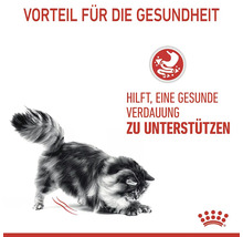 Symbol für eine gesunde Verdauung von Katzenfutter