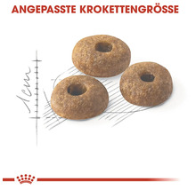 Drei runde Hundefutter-Kroketten mit Loch in der Mitte
