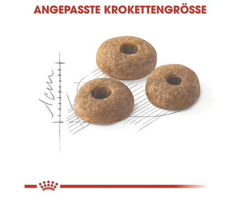 Drei runde Hundefutter-Kroketten mit Loch in der Mitte
